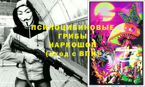 спиды Козловка