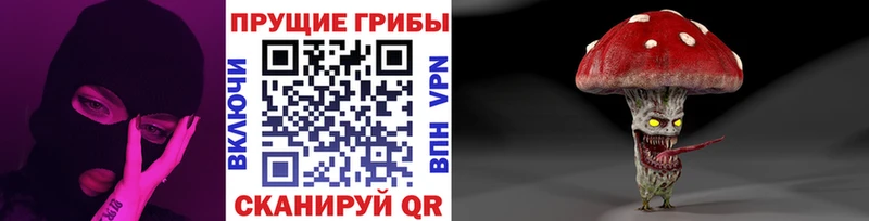 Галлюциногенные грибы Magic Shrooms  Купить закладки  Сосновка 