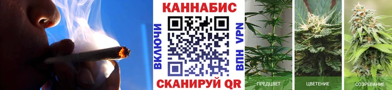 Марихуана Amnesia  Купить закладки  Сосновка 